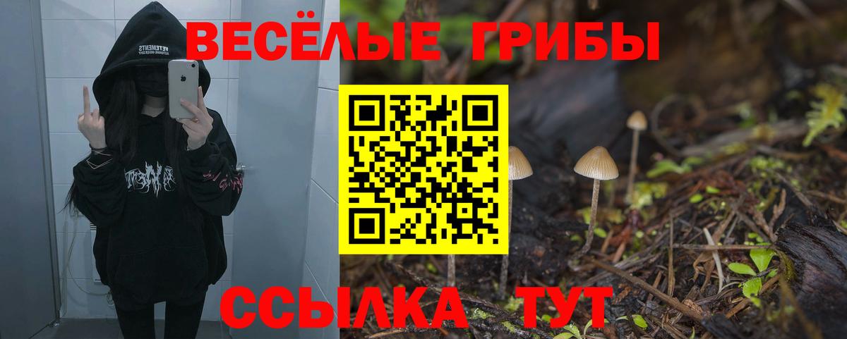 Галлюциногенные грибы Cubensis Борзя